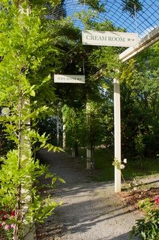 Holly Lane Mews - Holiday Find 45