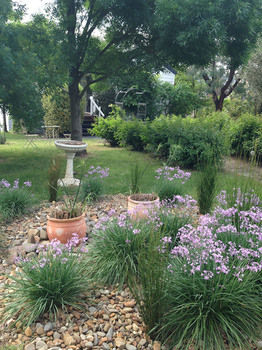 Yarraglen BnB - Holiday Find 19