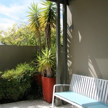 Chaucer Palms Boutique Bed & Breakfast - Holiday Find 26