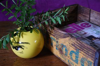 Tuck Inn Yarra Valley - Holiday Find 12