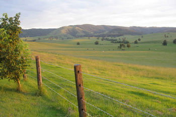 The Wattle Lodge - Holiday Find 21