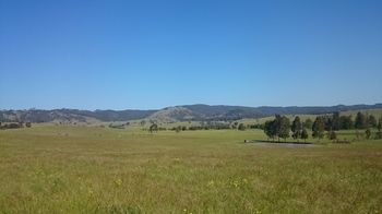 The Wattle Lodge - Holiday Find 26