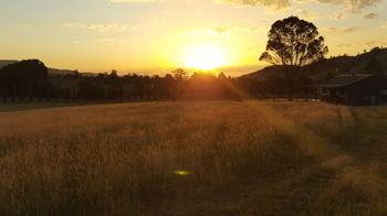 The Wattle Lodge - Holiday Find 35