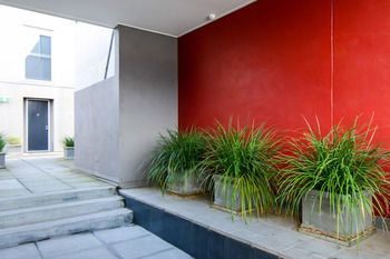 UrbanMinder @ Montague - Holiday Find 26