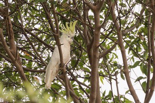 Pencil Creek Cottages - Holiday Find 9