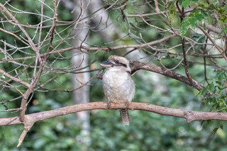 Pencil Creek Cottages - Holiday Find 10