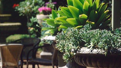 Best Western Plus The Tudor Box Hill - Holiday Find 2