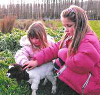 Huon Valley Caravan Park - Holiday Find