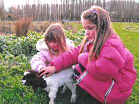 Huon Valley Caravan Park - Holiday Find 0
