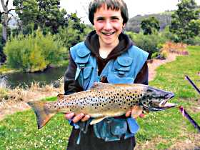 Huon Valley Caravan Park - Holiday Find 1