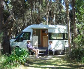 Crayfish Creek Van And Cabin Park And Spa Treehouse - Holiday Find 3