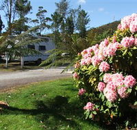 Zeehan Bush Camp  and Caravan Park - Holiday Find