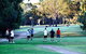 Deniliquin Golf Leisure Resort - thumb 5