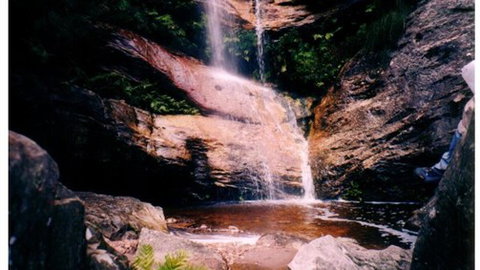 Happy Wanderer Holiday Resort - Holiday Find 1