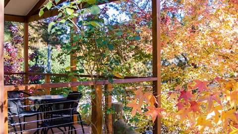 BIG4 Bright Holiday Park - Holiday Find 2