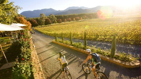 BIG4 Bright Holiday Park - Holiday Find 6