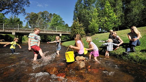 NRMA Bright Holiday Park - Holiday Find 3