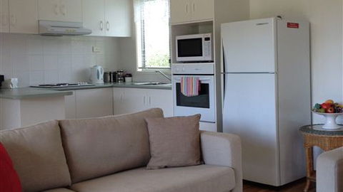 Chestnut Springs - Holiday Find 0