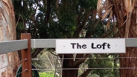 Chestnut Springs - Holiday Find 4