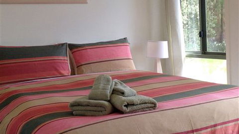 Chestnut Springs - Holiday Find 3