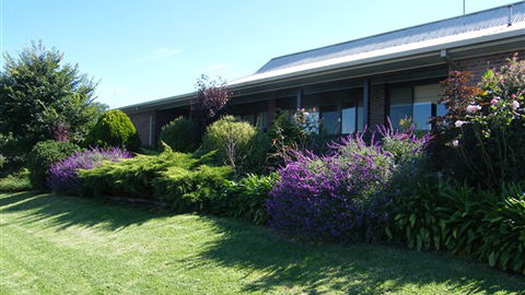 Boomers Guest House Hamilton - Holiday Find 0