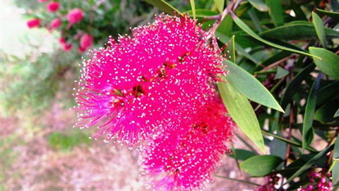 Sweetwater Stays Rural Retreat - Holiday Find 4