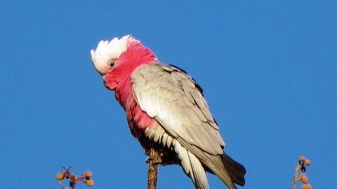 Sweetwater Stays Rural Retreat - Holiday Find 5