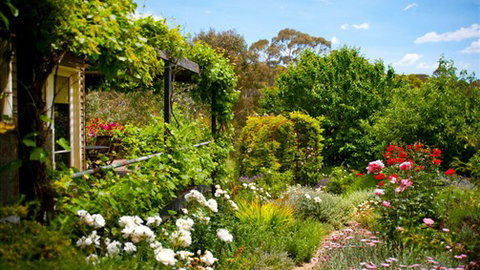 Kookaburra Ridge - Holiday Find 3