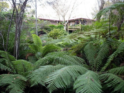 Adelaide Hills Bed & Breakfast Accommodation - Holiday Find 3
