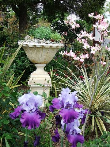 Admurraya House - Holiday Find 2