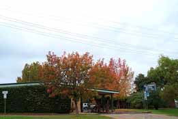 Allambie Motel Pty Ltd - Holiday Find 0