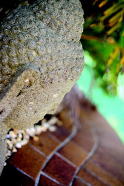 Ballina Palms Boutique Motel - Holiday Find 0