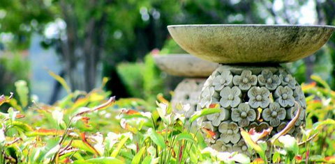 Ballina Palms Boutique Motel - Holiday Find 2