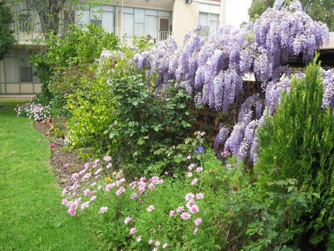 Capri Lodge Apartments - Holiday Find 1