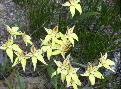 Chuckem Farmstay And Bed & Breakfast - Holiday Find 2