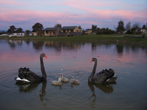 Mansfield Holiday Park - Holiday Find 0