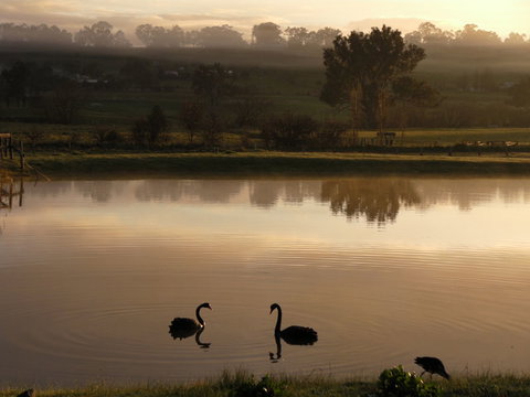Mansfield Holiday Park - Holiday Find 2