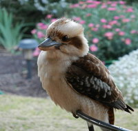 Glenbar Cottage - Holiday Find