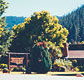 High Country Motor Inn - Holiday Find