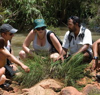 Nitmiluk Tours  Accommodation - Holiday Find