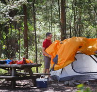 Bald Rock campground and picnic area - Holiday Find