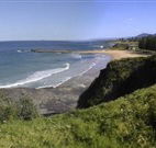 Coledale Beach Camping Reserve - Holiday Find