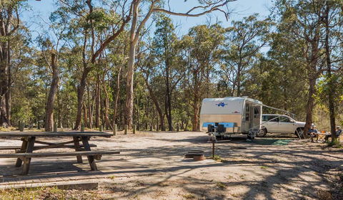Cypress-pine Campground - Holiday Find 1