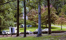 Dingo Tops Campground - Holiday Find 1