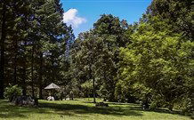Dingo Tops Campground - Holiday Find 2