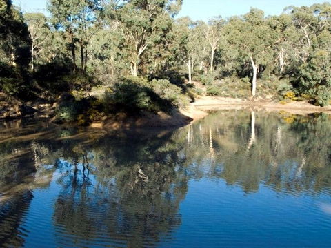 Toodyay Holiday Park & Chalets - Holiday Find 4