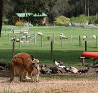 Diamond Forest Cottages and Farm Stay - Holiday Find