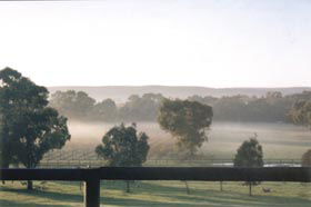 Settlers Rest Farmstay Swan Valley - Holiday Find 3