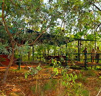 Arnhemland Barramundi Nature Lodge - Holiday Find