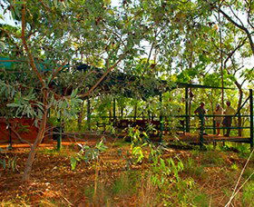 Arnhemland Barramundi Nature Lodge - Holiday Find 0
